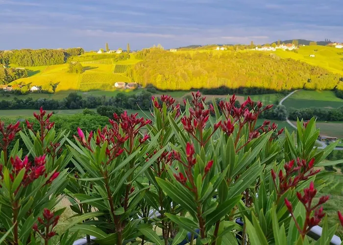 酒店 罗莎之家酒店