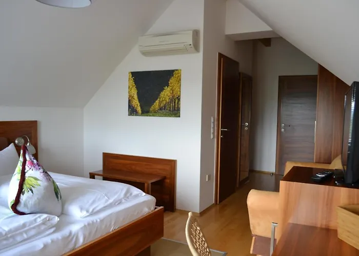 罗莎之家酒店 酒店 4*