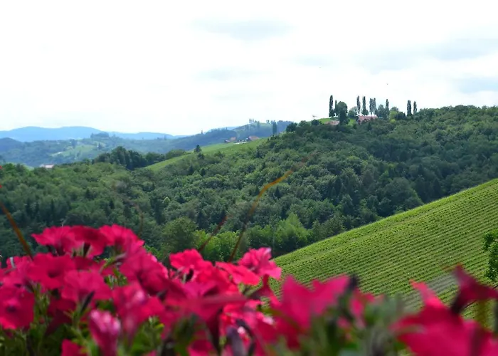酒店 罗莎之家酒店 4*