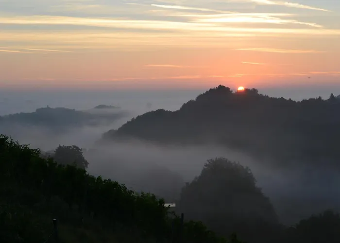 酒店 罗莎之家酒店 甘利特茨