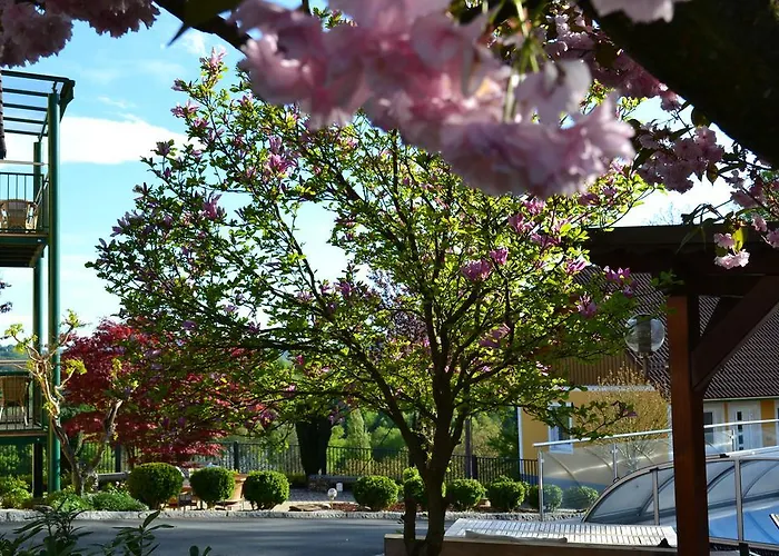 Rosa 4* غامليتز