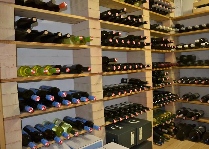 罗莎之家酒店 酒店 甘利特茨